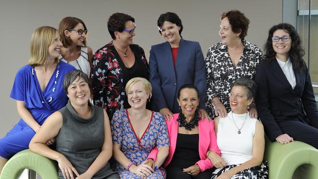 Women To Take The Inner West In The 2015 Nsw State Election Daily Telegraph