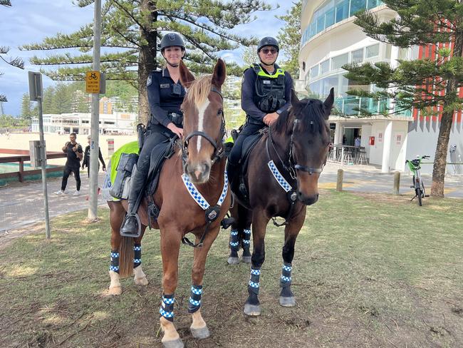 Senior Constable Tara Neiland with 'Nitro' and Senior Constable Simon Shilton with 'Stormy' at Burleigh Heads on Friday April 26. Picture: Keith Woods.