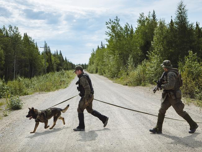 Members of the Royal Canadian Mounted Police Emergency Response Team searching on foot near Gillam, Manitoba, Canada. Picture: Angus Mordant for News Corp Australia