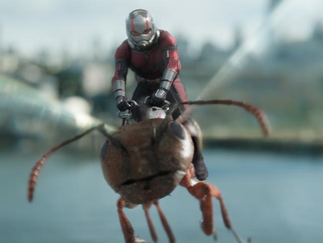 Paul Rudd in micro-mode as Ant-Man in Ant-Man and the Wasp.