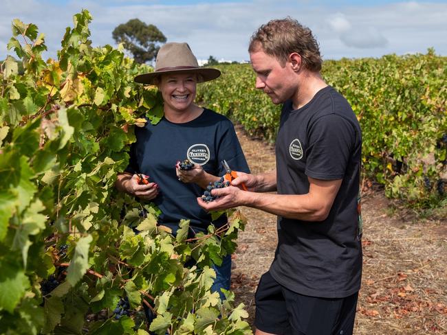 Corrina Wright and Valtteri Bottas inspect the grapes for his wine. Photo: Ben MacMahon