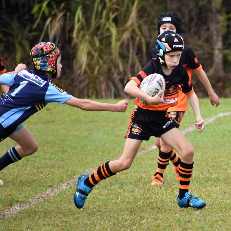 Herbert River Crushers Junior Rugby League U8s, U13 girls | Daily Telegraph