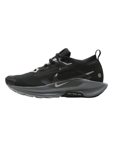 Nike Pegasus Trail 5 GORE-TEX. Picture Nike