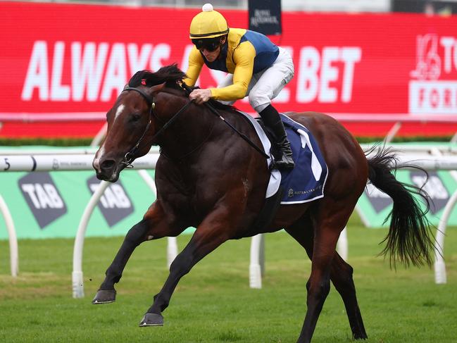 SYDNEY, AUSTRALIA - MARCH 02: James Mcdonald riding Storm Boy wins Race 4 Catanach's Jewellers Skyline Stakes during TAB Verry Elleegant Stakes Day - Sydney Racing at Royal Randwick Racecourse on March 02, 2024 in Sydney, Australia. (Photo by Jeremy Ng/Getty Images)