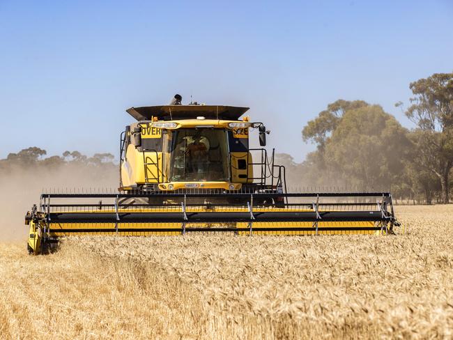 NEWS: Wheat Harvest Craig Stone NeilboroughPICTURED: Generic farm. Wheat Harvest. Grain. Harvesting. Crop. Stock Photo.Picture: Zoe Phillips