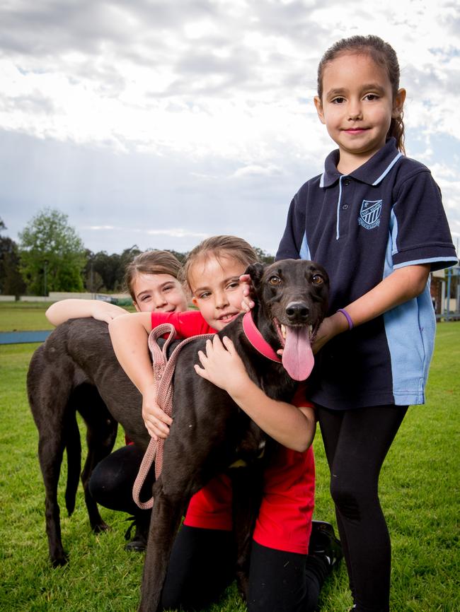 The NSW government copped considerable backlash in the wake of the ban. Kendra Byrnes, Brianna Jackson and Alyssa Jackson with their nan's racing greyhound Magic Gem at Kempsey racetrack. Picture: Lindsay Moller