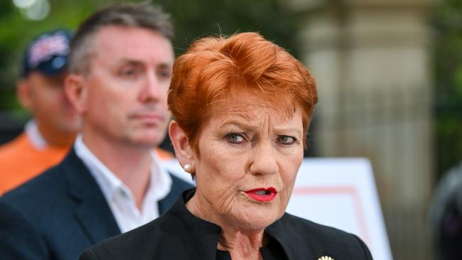 The Federal Court found Pauline Hanson racially discriminated against senator Mehreen Faruqi. Picture: Dan Peled/NewsWire.