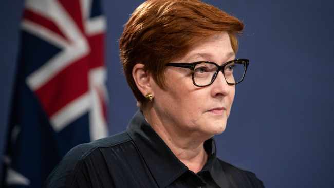 Foreign Minister Marise Payne said she is seeking advice from the Department of Foreign Affairs and Trade over sanctioning Vladimir Putin himself. Picture: NCA NewsWire / Flavio Brancaleone
