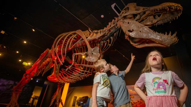 SA Museum is set to host the world premiere of the Six Extinctions exhibition with the largest Tyrannosaurus rex skeleton ever found, named Scotty. Picture: Naomi Jellicoe