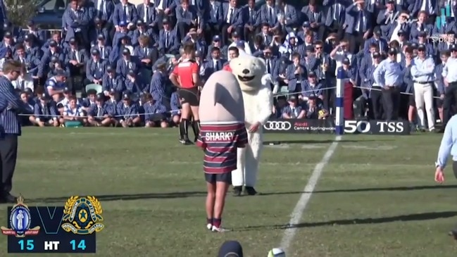 The moment two mascots clashed on the field