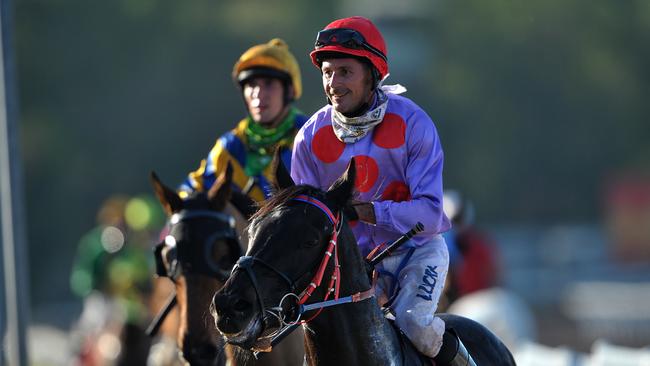 Darwin Cup, Guineas.Paul Shiers brings Gravitational back to scale after taking out the Darwin Guineas.