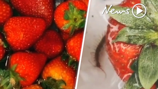 Disgusting discovery: the test to see if your strawberries 