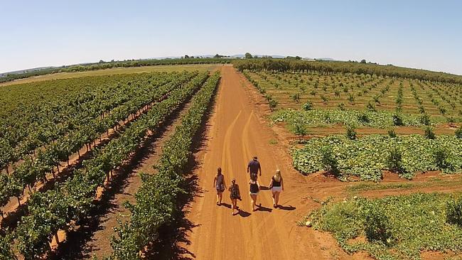 Catania Fruit Salad Farm. Picture: Supplied