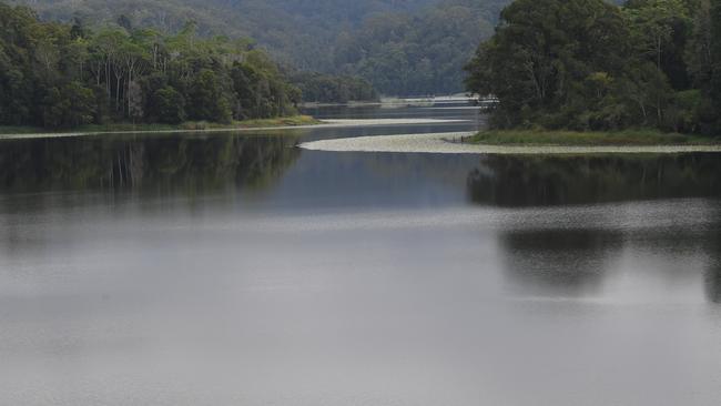 Rocky Creek Dam in the Northern Rivers hosts a large variety of wildlife.