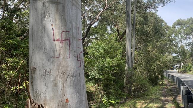 The boy used mulberries to mark swastikas on trees in Gymea.