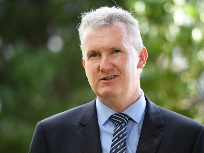 Labor MP for Watson Tony Burke. Picture: Joel Carrett