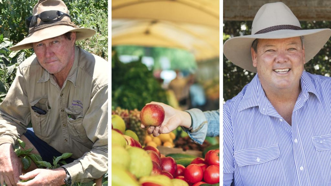 Unveiling the Mystery: What is the Fruit from Whitsunday Australia?