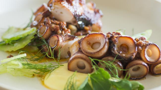 Octopus dish from Salopian Inn.