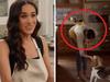 Bizarre detail in new Meghan video