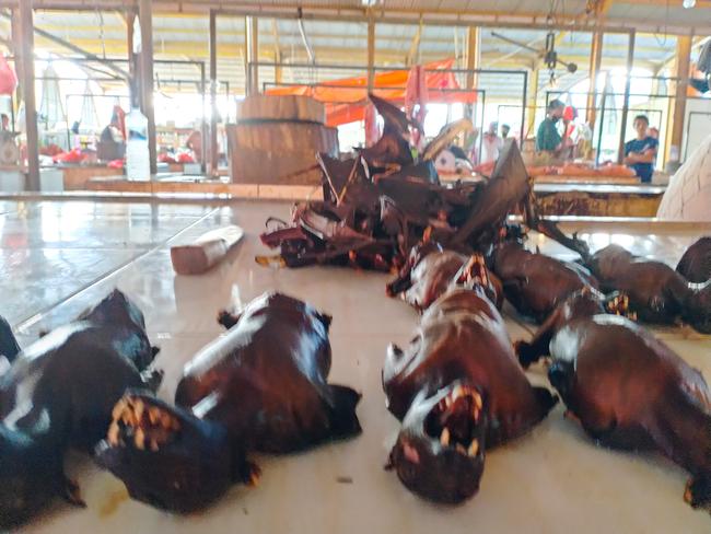 A wildlife market still operating in Sulawesi, Indonesia. Picture: Agung Maupa