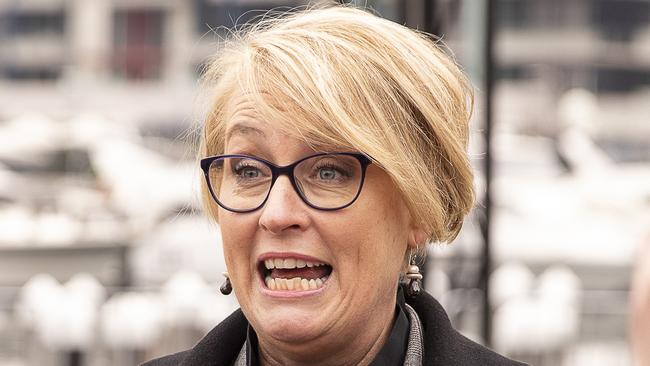 City of Melbourne Lord Mayor Sally Capp talks to the media to launch the 2018 Firelight Festival at Docklands, Melbourne, Australia, Wednesday, June 27, 2018. (AAP Image/Daniel Pockett) NO ARCHIVING