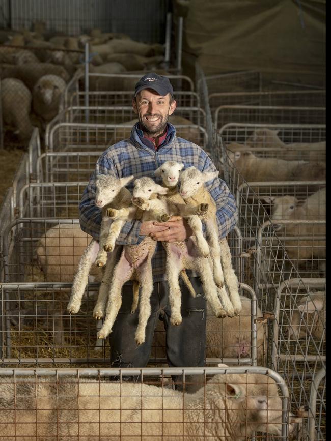 Simon Beattie from Derrynock Poll Dorsets, where they are expecting close to 1100 lambs over the next six weeks on their farm in Trentham East. Picture: Zoe Phillips