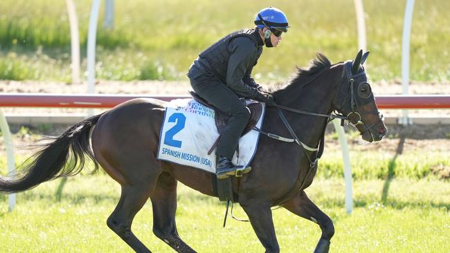 Melbourne Cup entrant Spanish Mission in trackwork. Picture: Getty Images