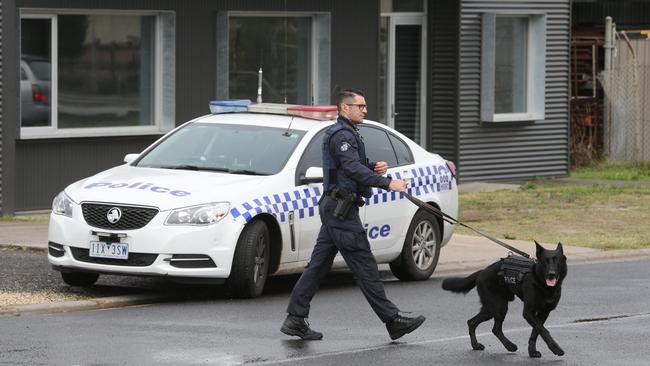 A member of the dog squad heads to the crime scene at North Shore. Picture: Mike Dugdale