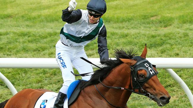 Punters could strike it rich with Boom Time in the Melbourne Cup. Picture: Mark Stewart