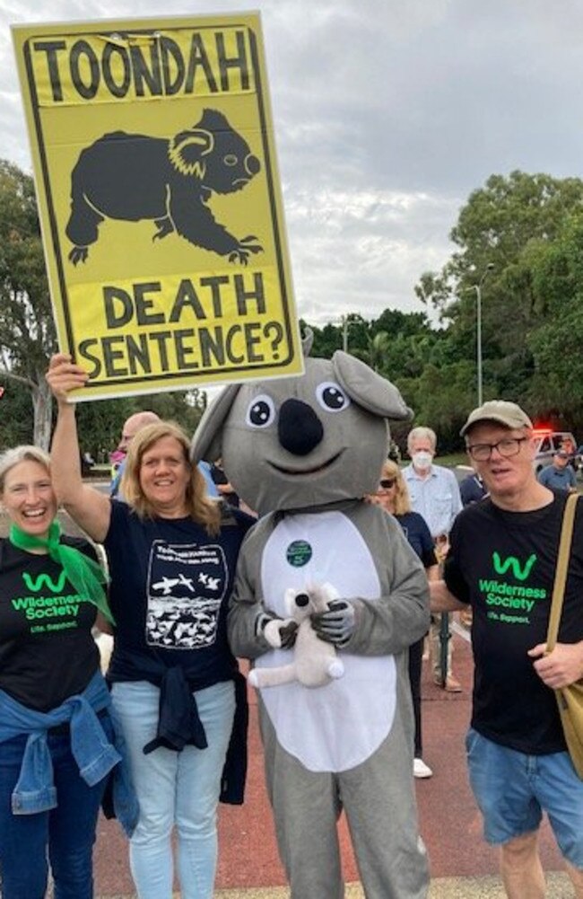 Koala Action Group president Debbie Pointing said there had been an 80 per cent decline in the Redland koala population from 4000 to about 700-800 over the past decade.