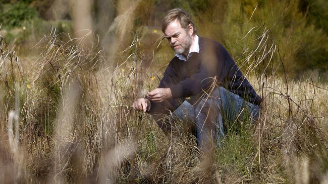 Australia’s top waterbird ecologist Professor Richard Kingsford’s analysis “found a very small effect” of hunting on ducks, with habitat loss the key driver of declining waterbird populations.