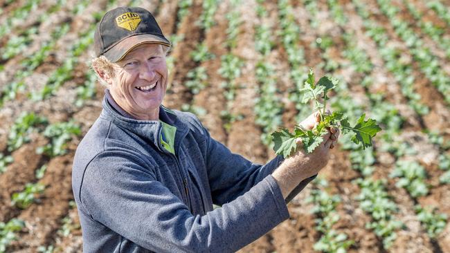 Andrew Slater celebrated the early rains as sowing season kicked off on his farm at Corack. Picture: Zoe Phillips