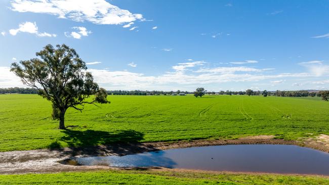 Both Mr Murray and Mrs Murray were looking for the motion to passed to help with Wagga’s environment plan. Wagga Wagga The Weekly Times