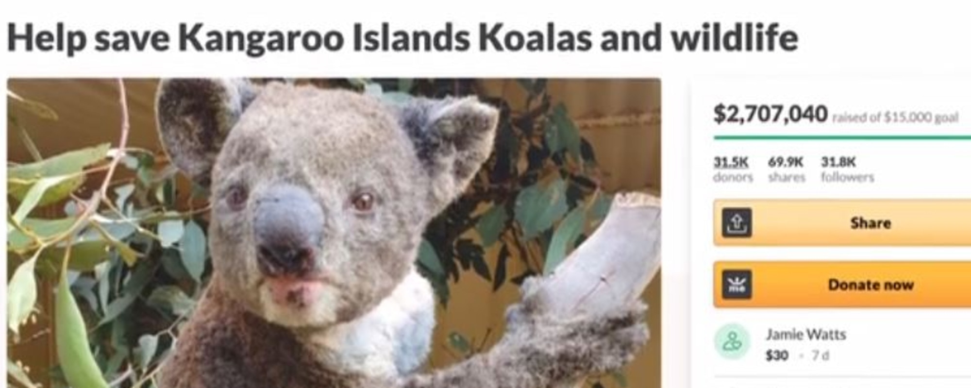 The 2.7 million raised through GoFundMe was used to create a massive koala sanctuary on Kangaroo Island.