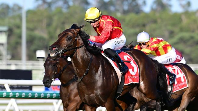 Nettuno was back to his best to win the Swiss Ace Plate at the Sunshine Coast. Picture: Grant Peters/Trackside Photography