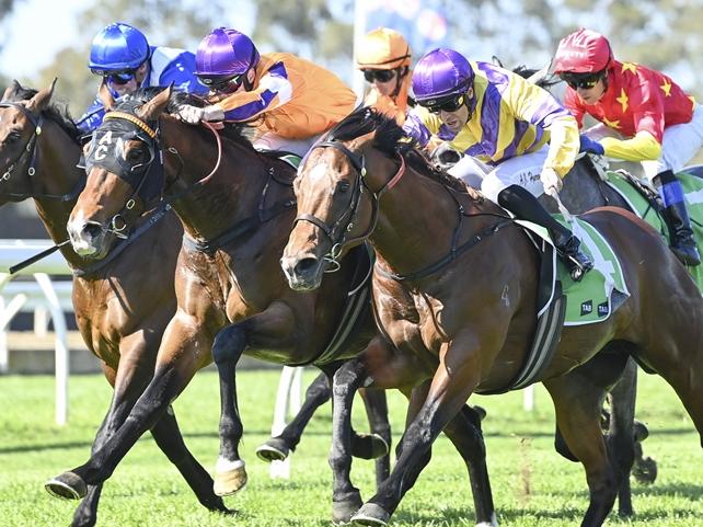 Monte Veebee gets is chance to break through on his home track. Picture: Bradley Photos