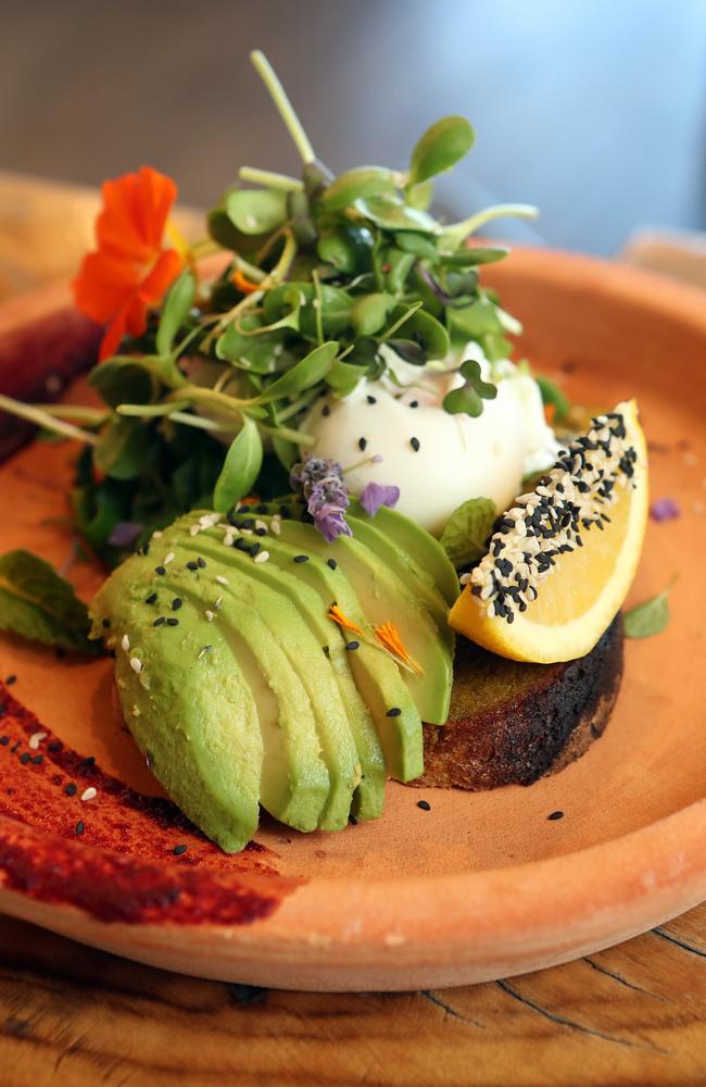 House made tumeric bread, free range eggs, sauteed organic greens, avocado, organic living sprout medley at Marie Anita’s. Photo by Richard Gosling