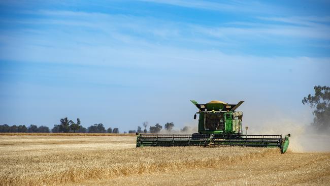 ABARES’ December Australia Crop Report forecast is a 7.4 per cent upward revision from the figure in their September 2020 Australian Crop Report. Picture: Zoe Phillips