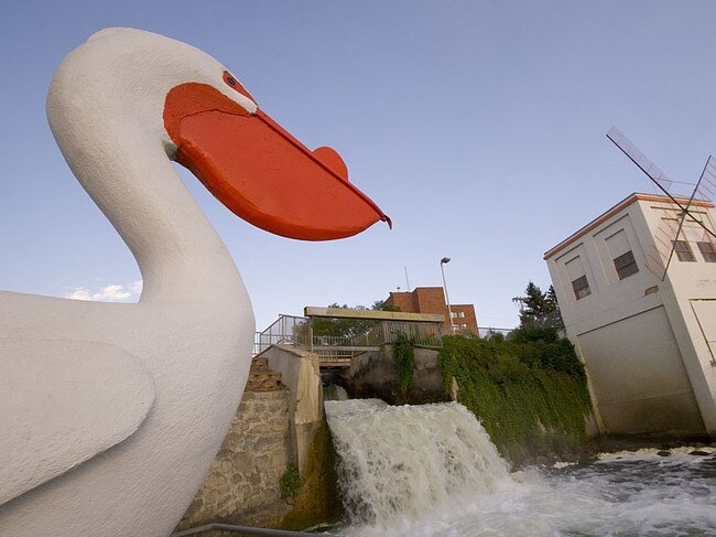Pelican Pete at the Pelican Rapids in Minnesota. Picture: Michael Wifall