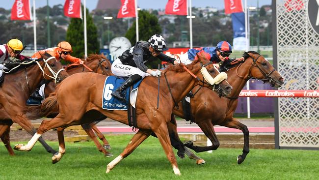 Aria Electra (black) just missed in a photo finish last start at The Valley. Picture: Pat Scala/Racing Photos via Getty Images