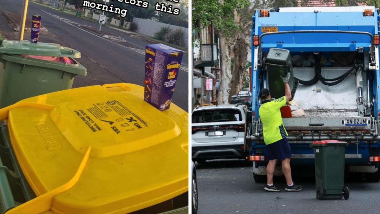 ‘Not helpful’: Queenslander’s bin act divides