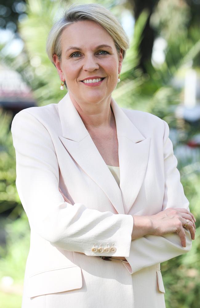 Tanya Plibersek MP Minister for the Environment and Water. Picture: NewsWire / Gaye Gerard