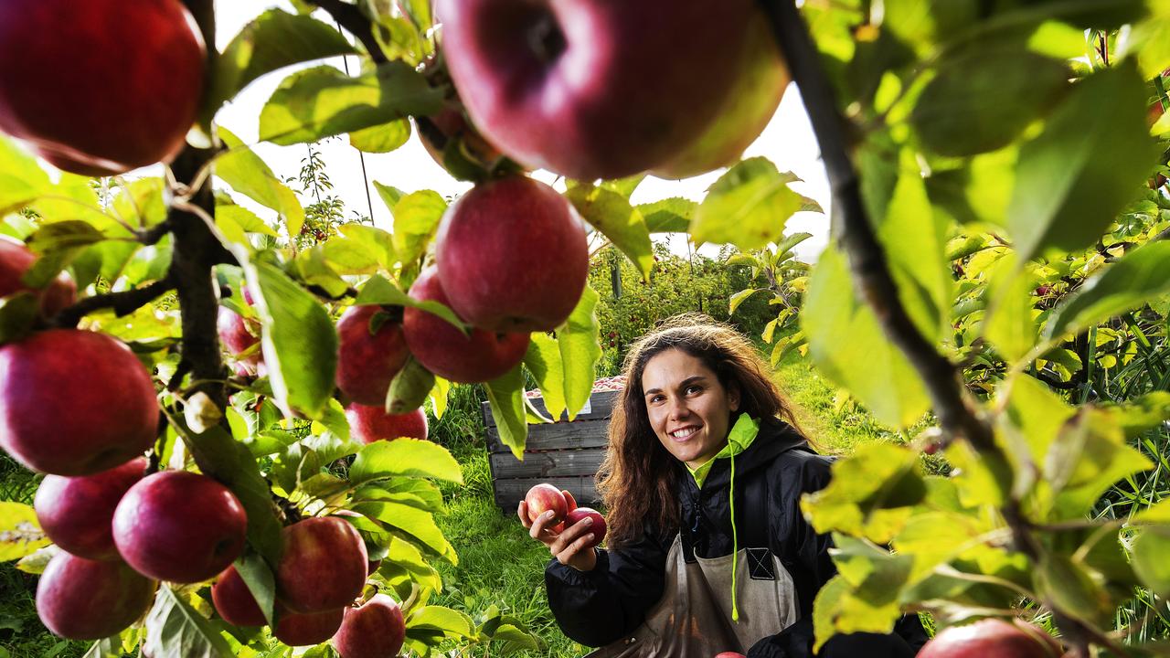 Leah Galvin: Coronavirus crisis feeds the need for locally sourced ...