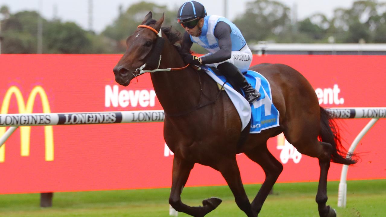 Bandersnatch scores in the Doncaster Prelude. Picture: Getty Images.