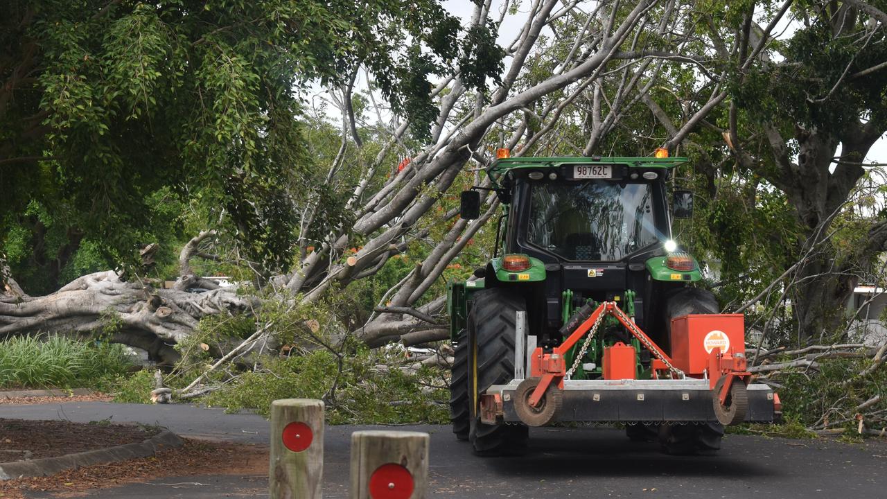 The fallen tree on Woongarra Street.