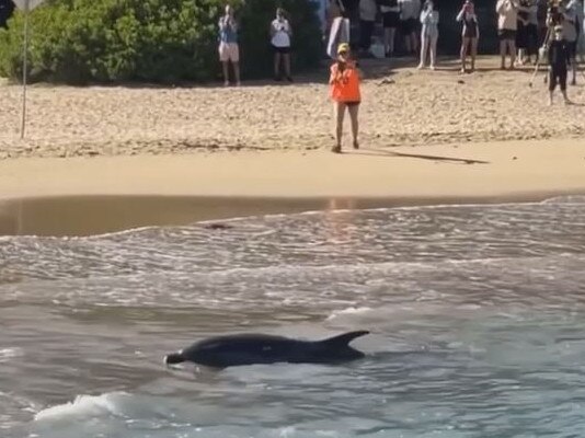 Beachergoes stay out of the water after the attack. Picture: Josh Bollen