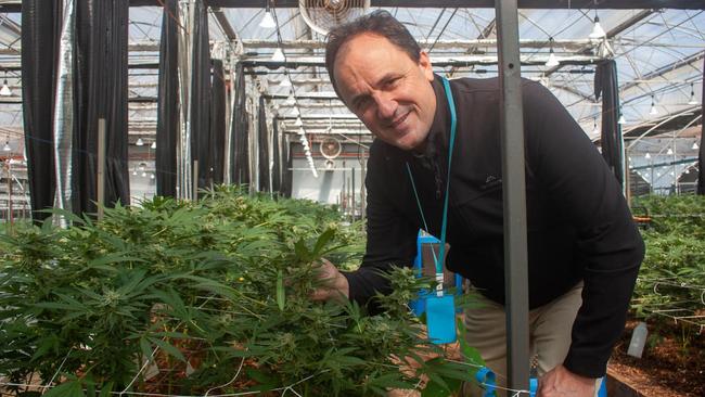 Leader of the Legal Cannabis party MP Jeremy Buckingham will propose legislation to NSW parliament to allow drivers with a legitimate cannabis prescription to drive with THC in their system. Picture: Facebook