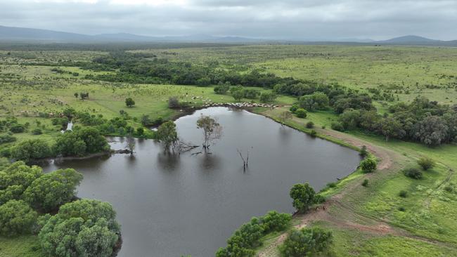 Bunderra Cattle Company are selling their 11,796ha Maryvale property, near Alpha QLD.