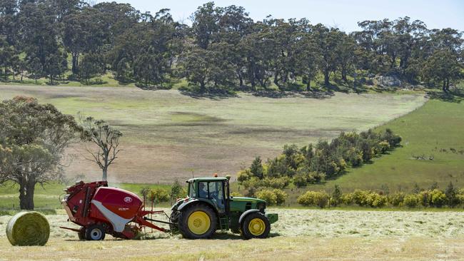 Graziers are preparing for their second silage cut on the back of moist and warm conditions. Picture: Zoe Phillips