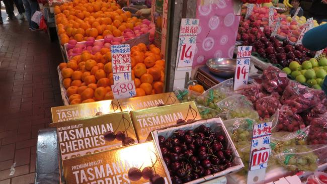 Cherries can fetch up to $40 a kilo in Asia. Picture: Stephen Edwards